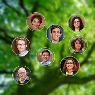 headshots of current Section faculty within branches of a tree